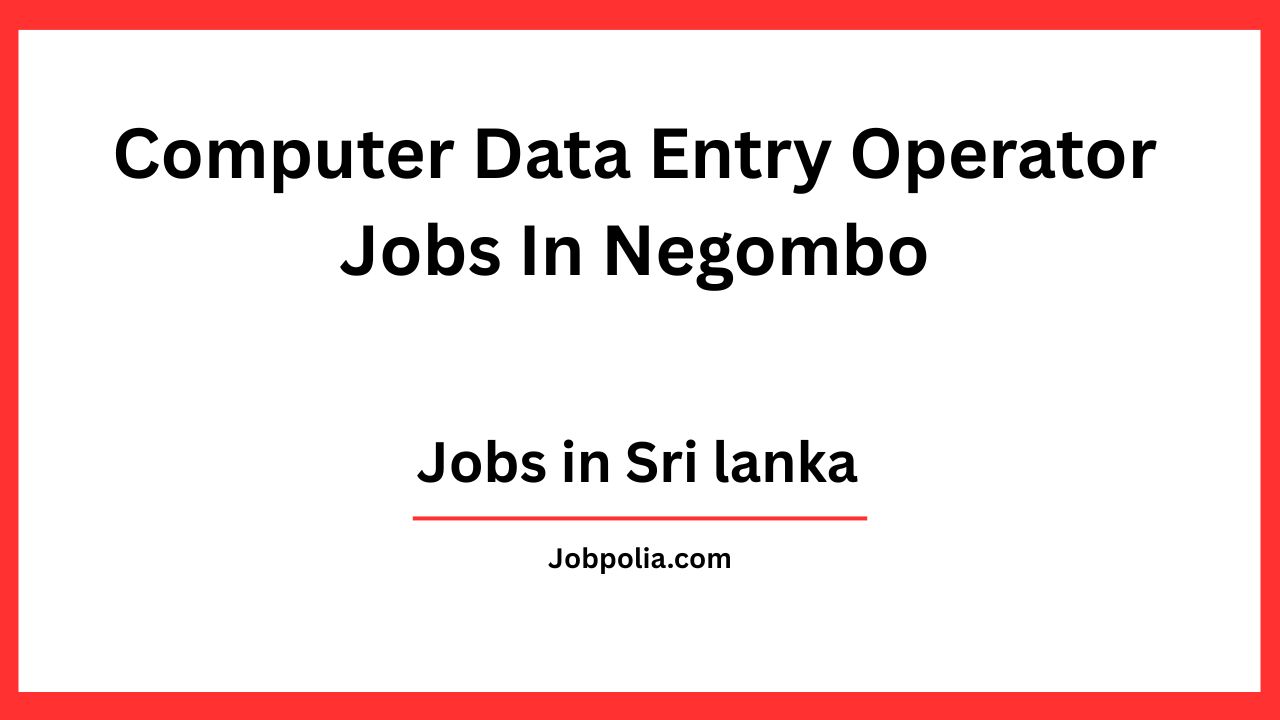 Computer Data Entry Operator Jobs In Negombo