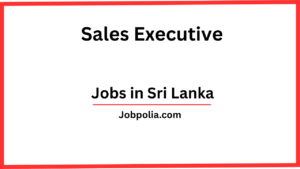 Sales Executive