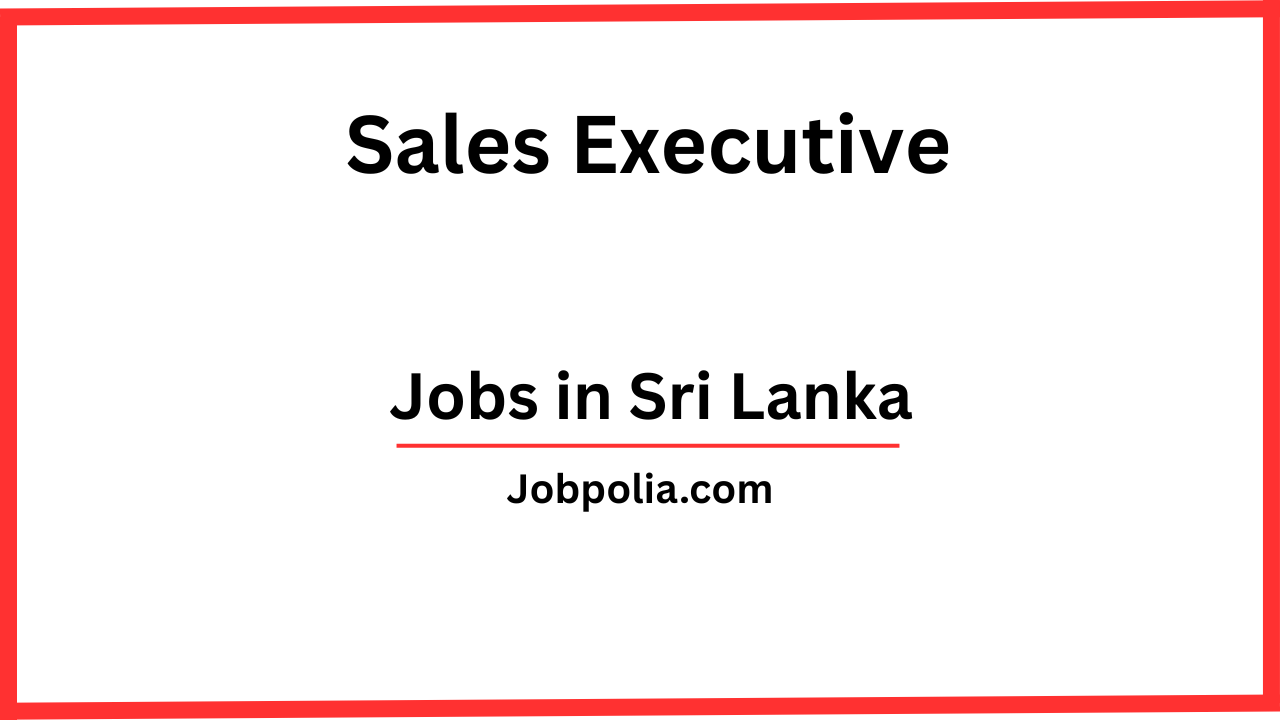 Sales Executive