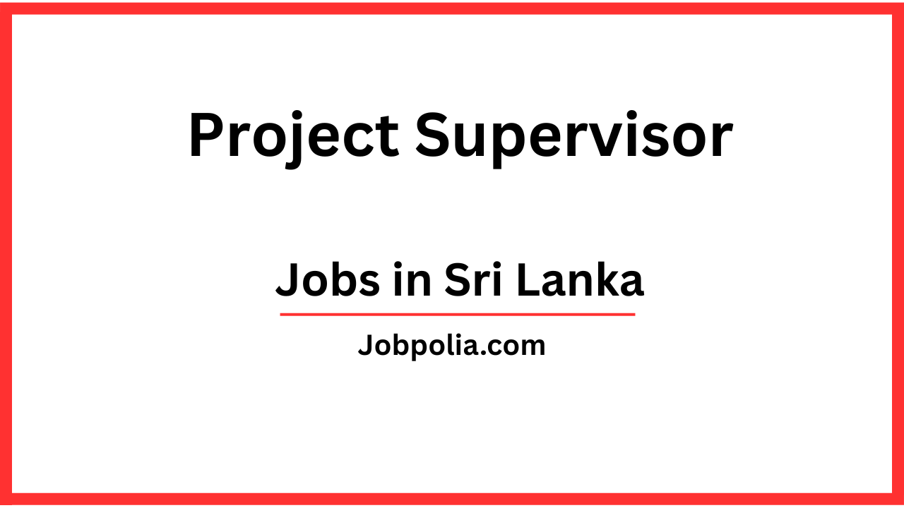 Project Supervisor