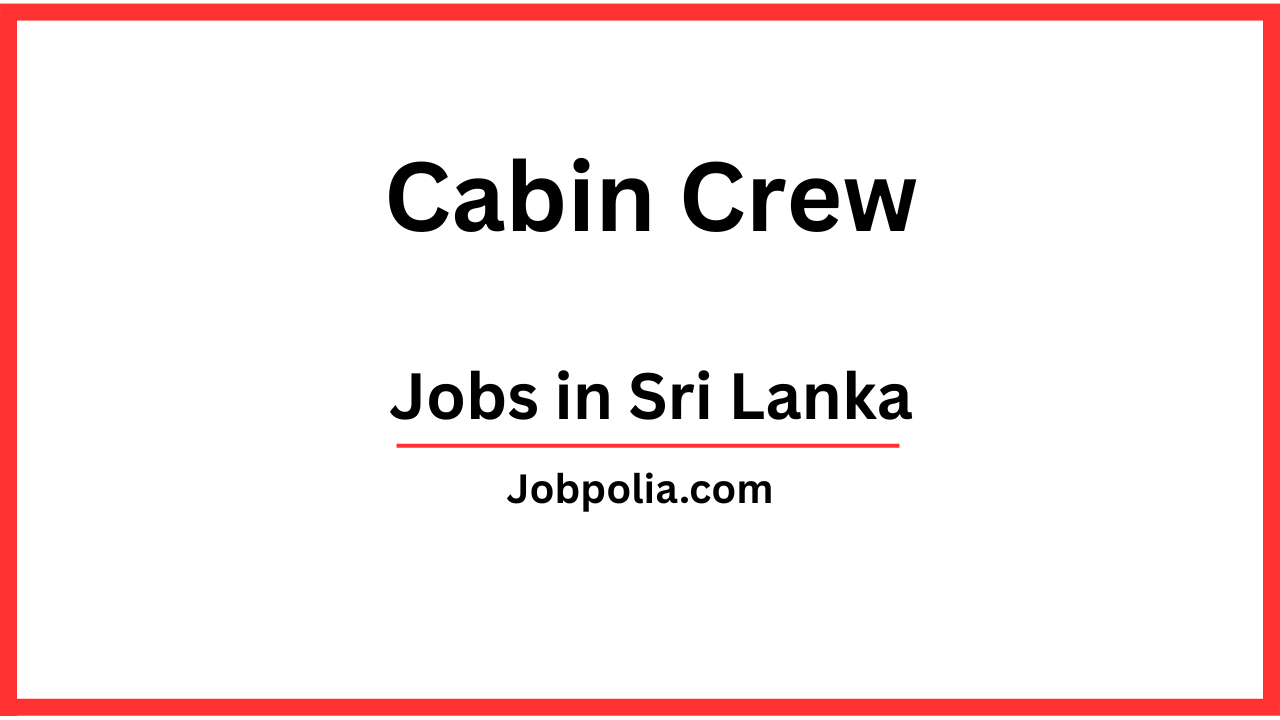 Cabin Crew