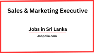 Sales & Marketing Executive