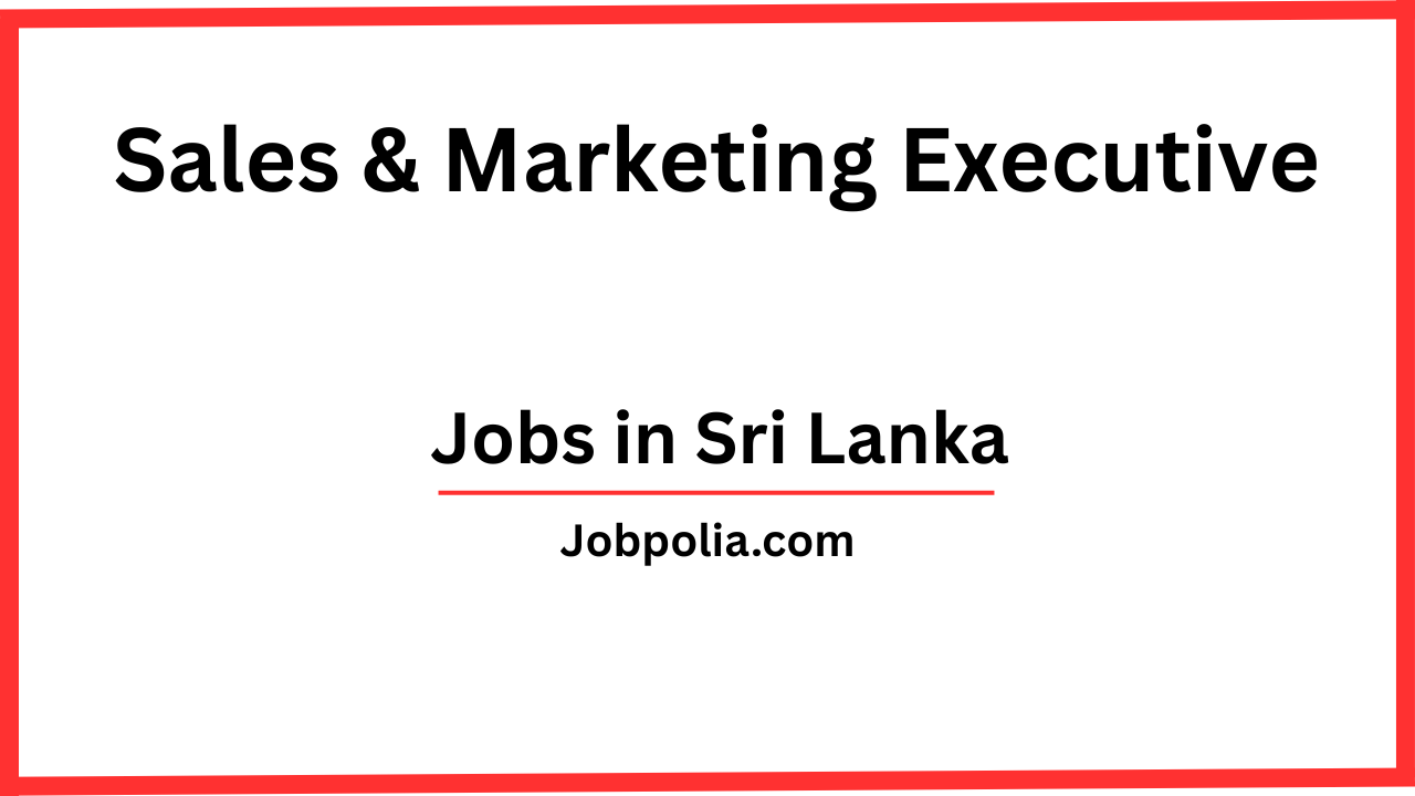 Sales & Marketing Executive