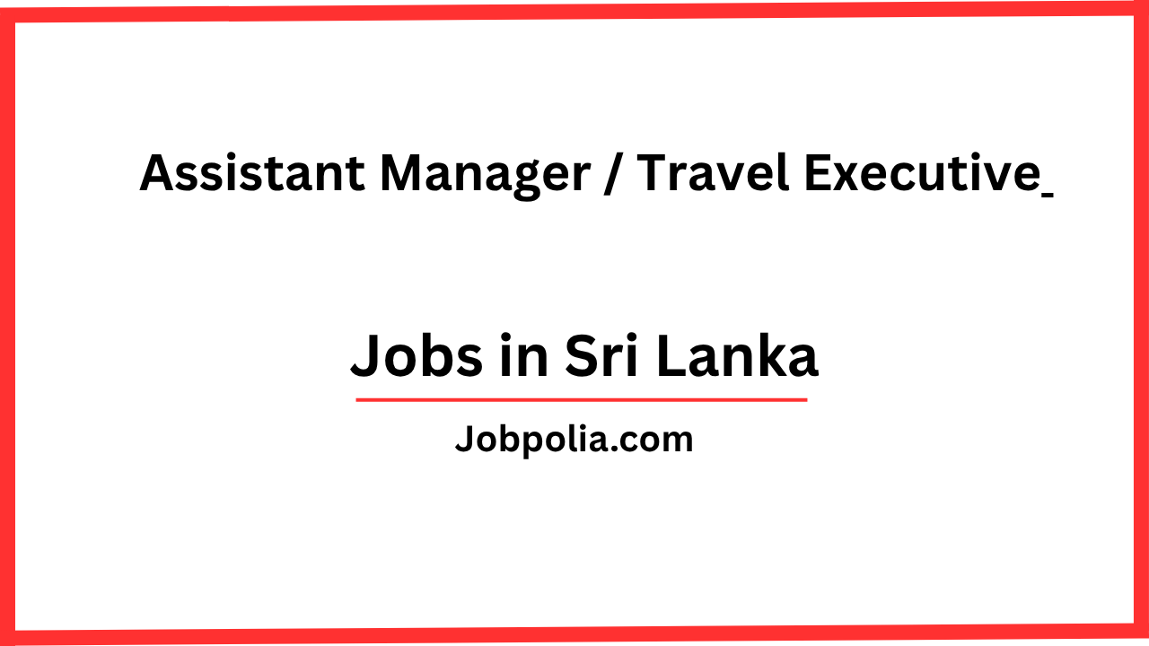 Assistant Manager / Travel Executive