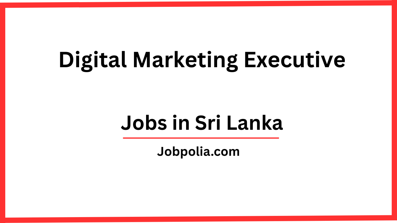 Digital Marketing Executive