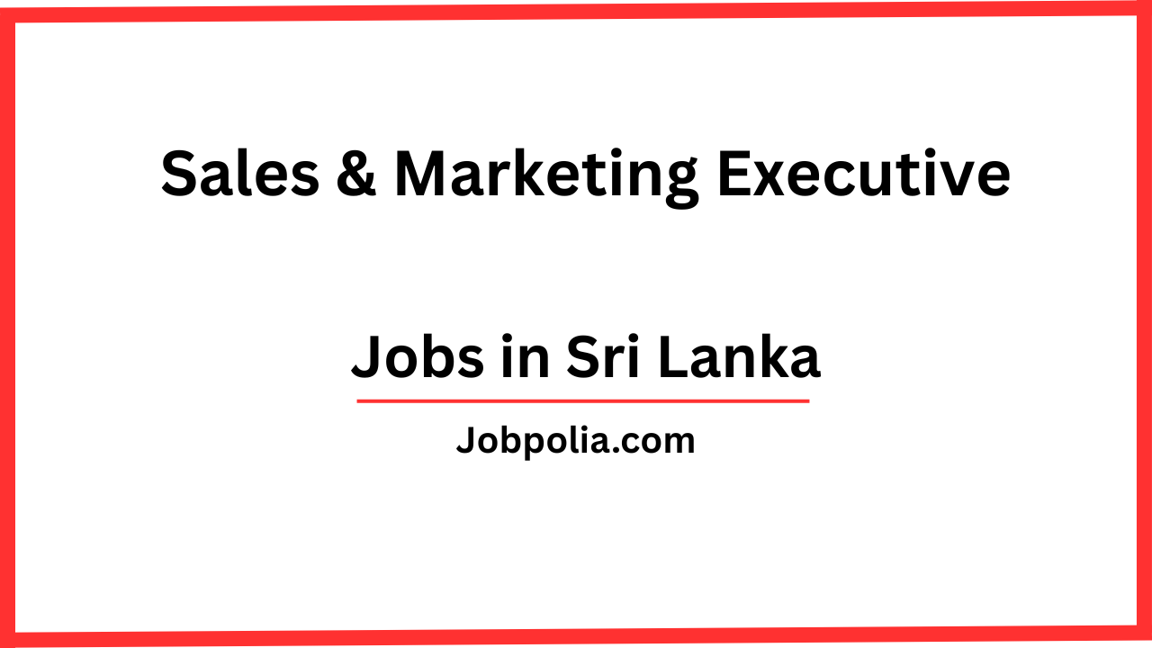 Sales & Marketing Executive