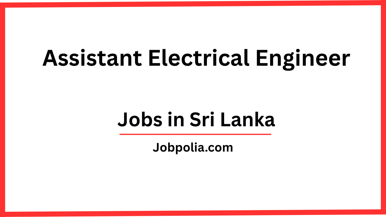Assistant Electrical Engineer