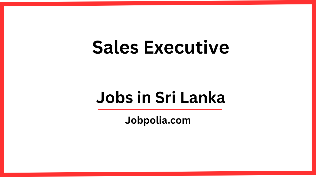 Sales Executive