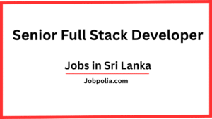 Senior Full Stack Developer