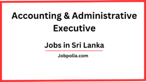 Accounting & Administrative Executive