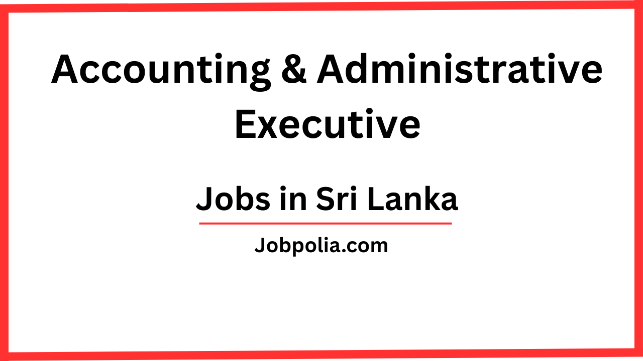 Accounting & Administrative Executive