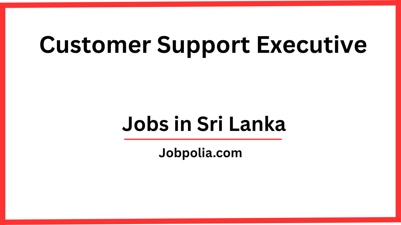 Customer Support Executive