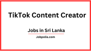 Content Creator