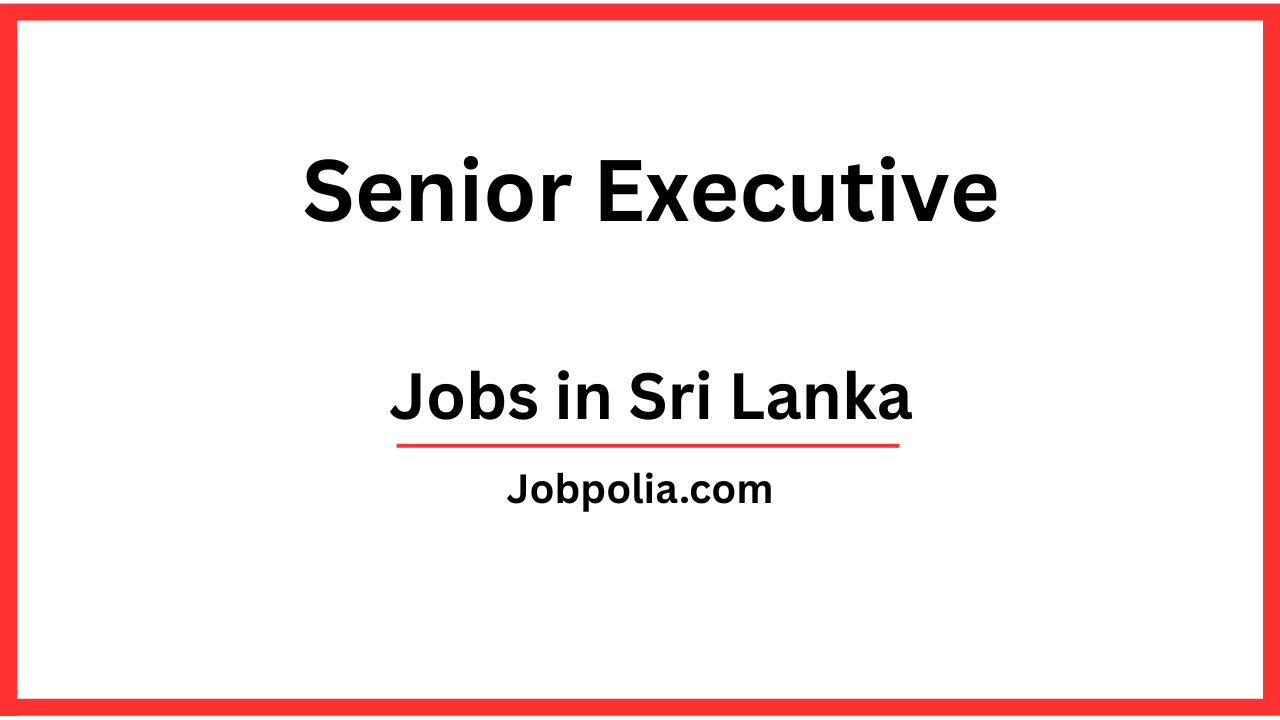 Senior Executive
