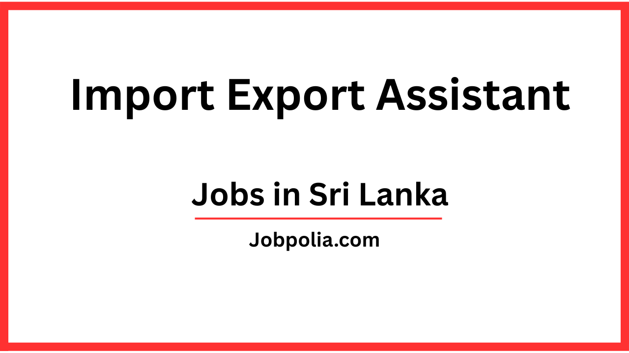 Import Export Assistant