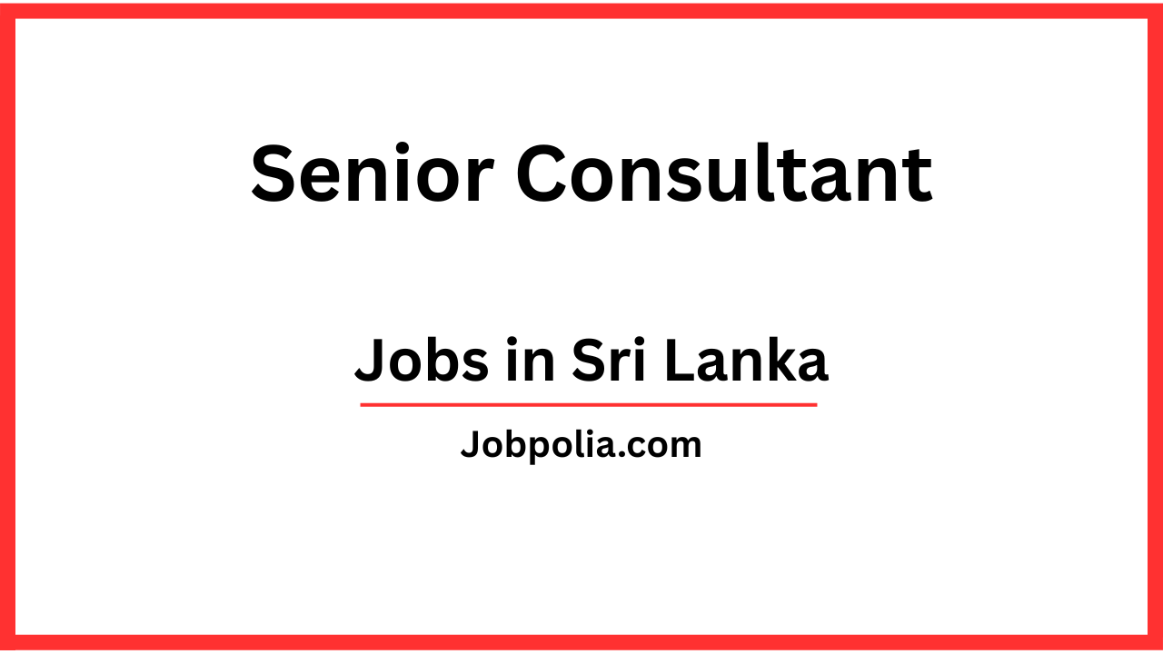 Senior Consultant