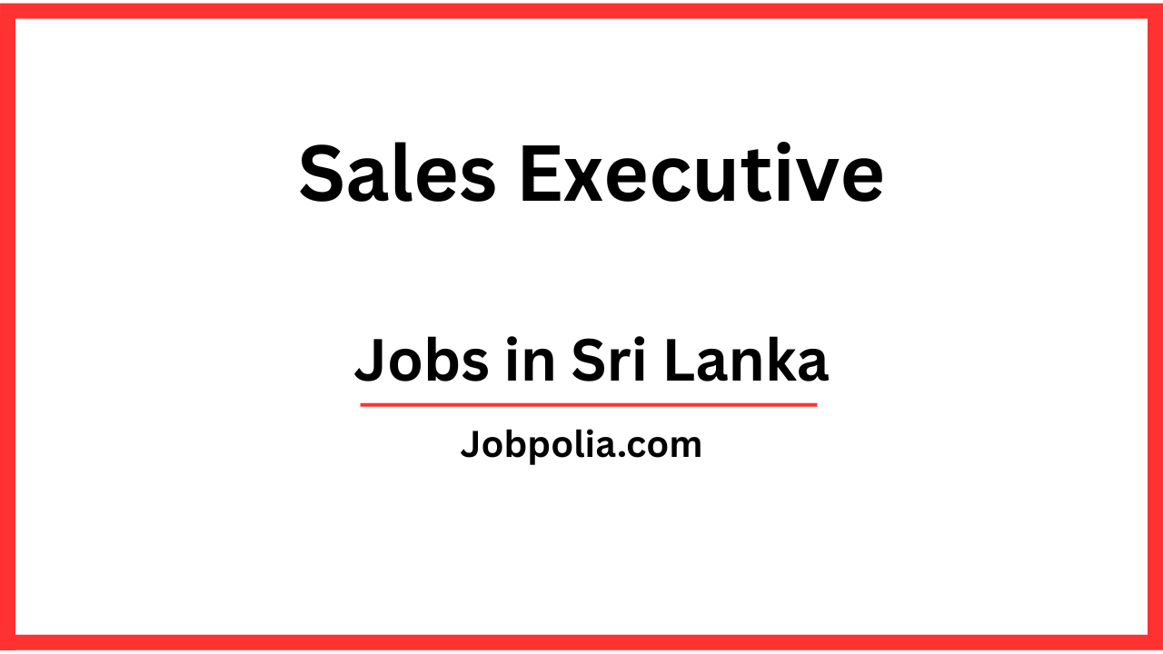 Sales Executive