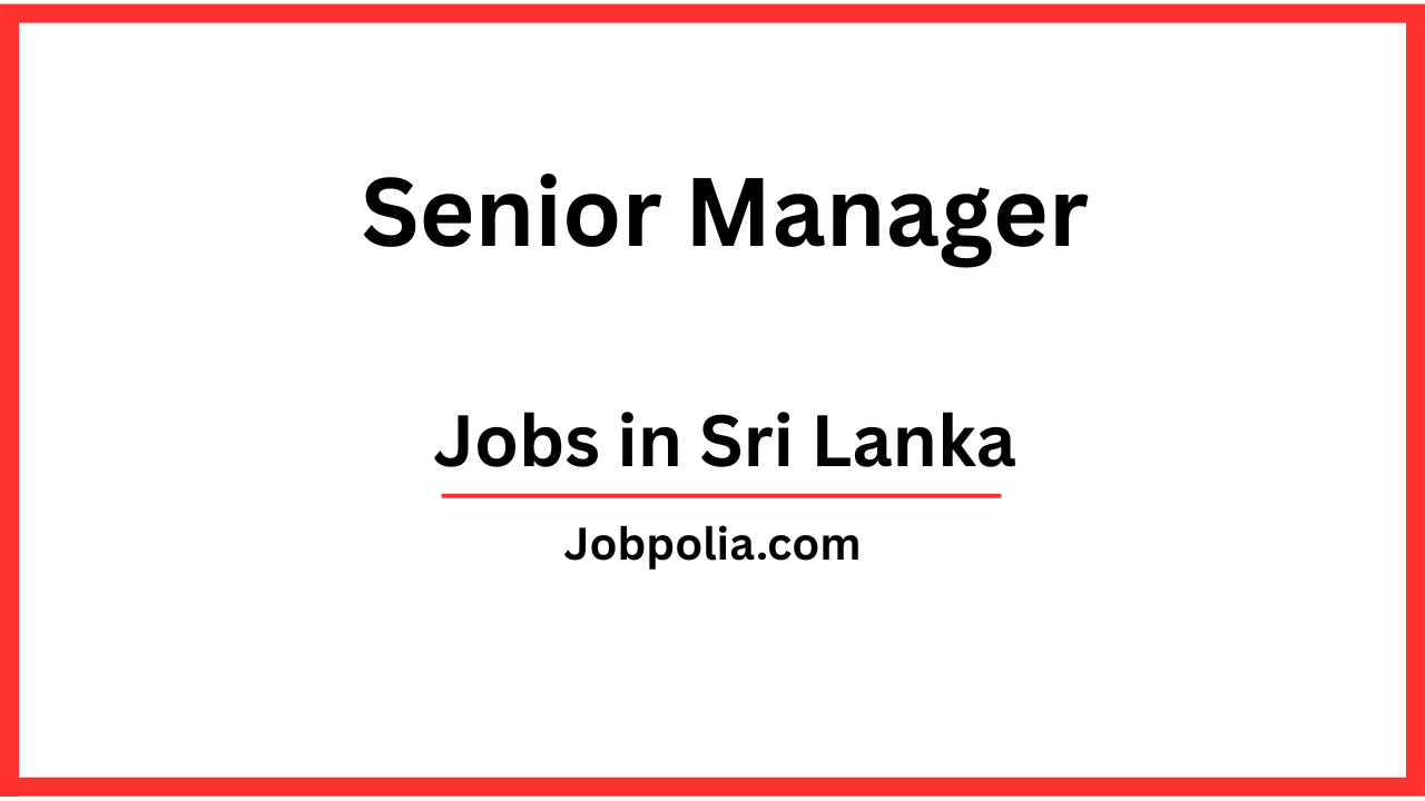 Senior Manager