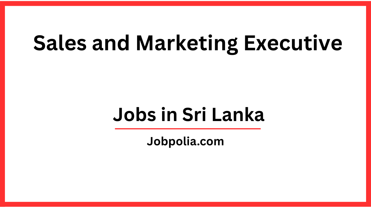 Sales and Marketing Executive
