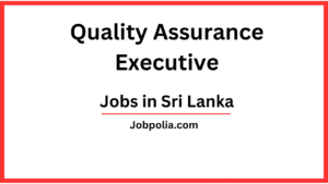 Quality Assurance Executive