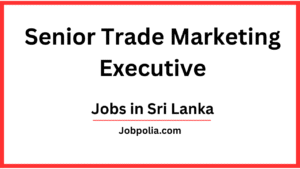 Marketing Executive