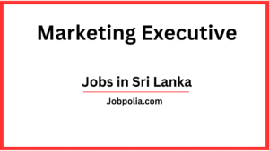 Marketing Executive