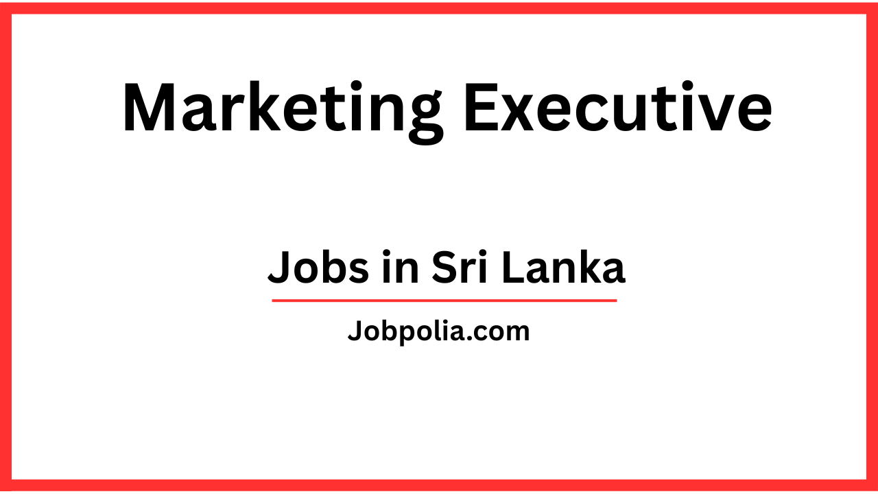 Marketing Executive