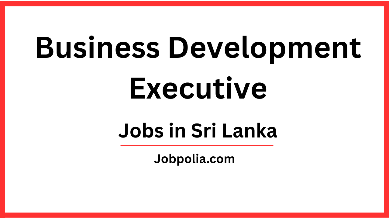 Business Development Executive