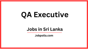 QA Executive