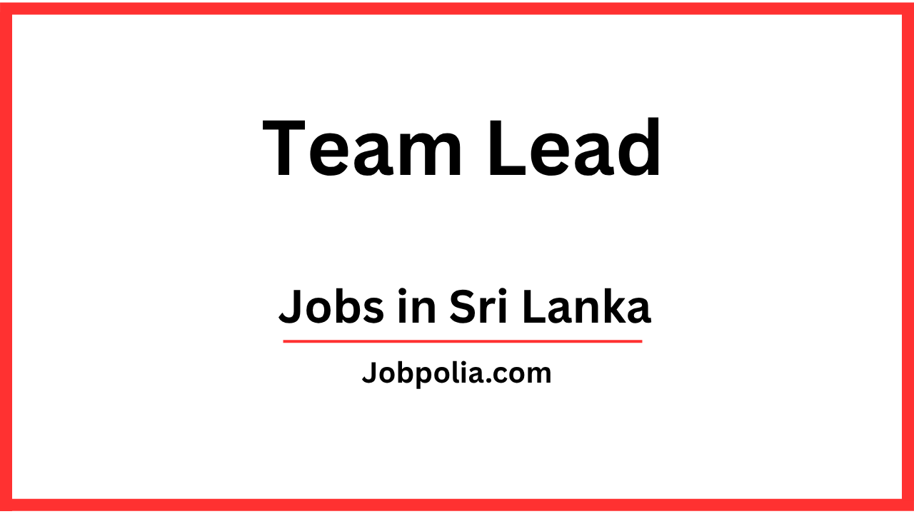 Team Lead
