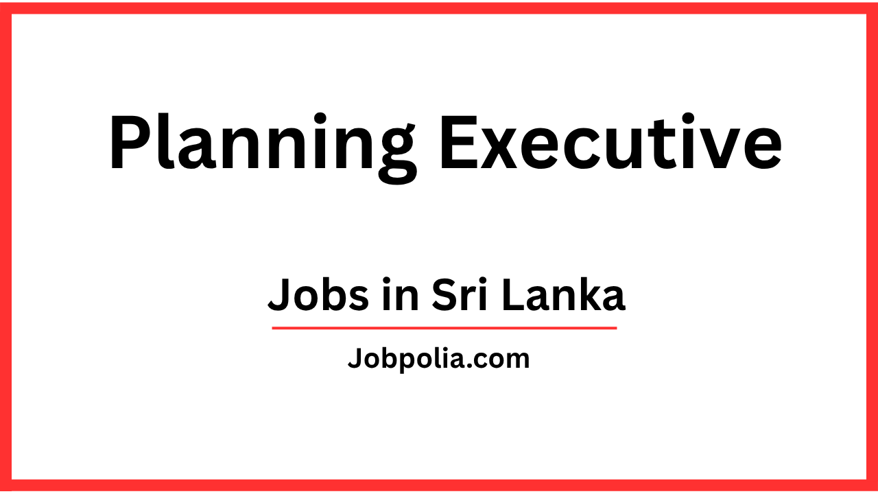 Planning Executive