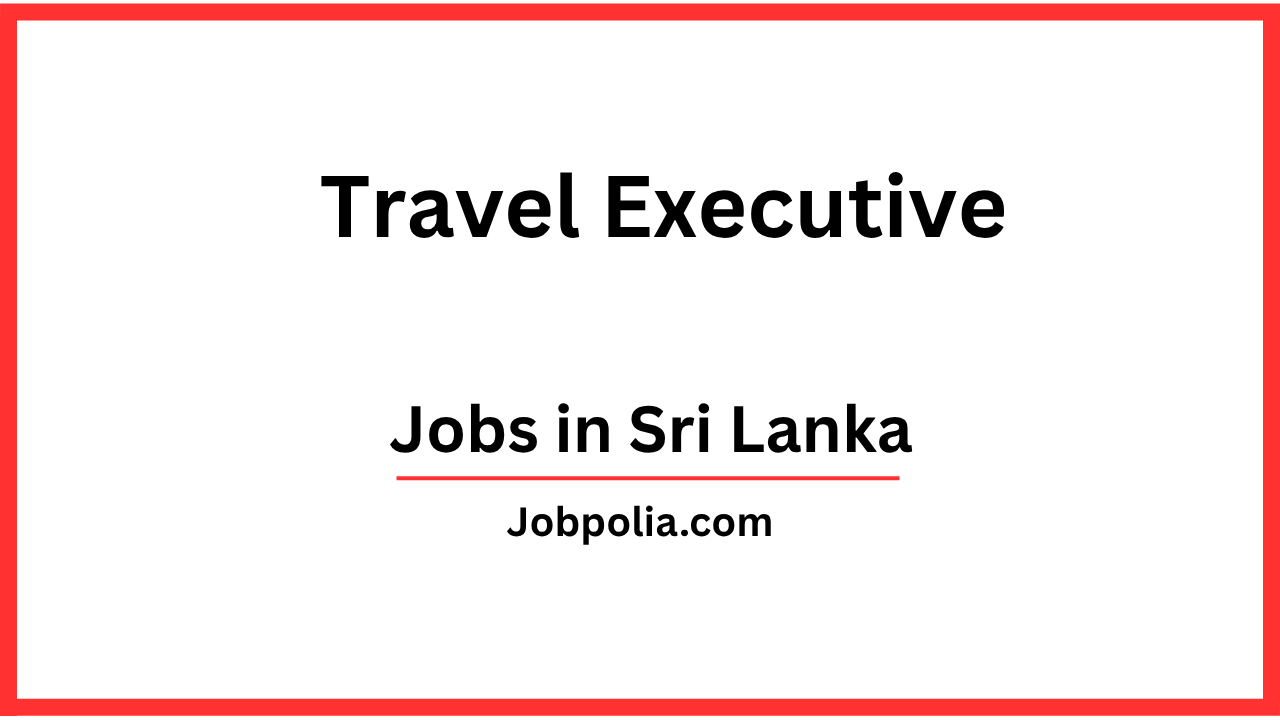 Travel Executive