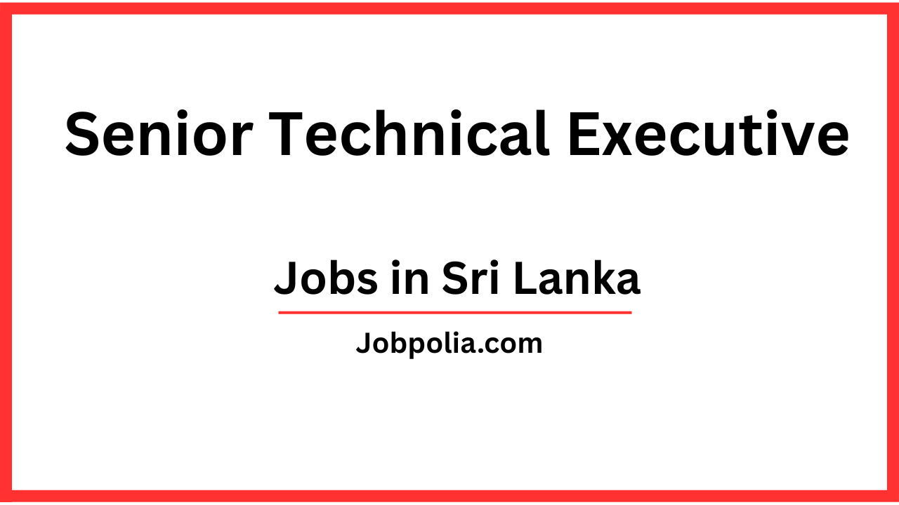 Technical Executive