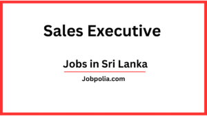 Sales Executive