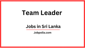 Team Leader