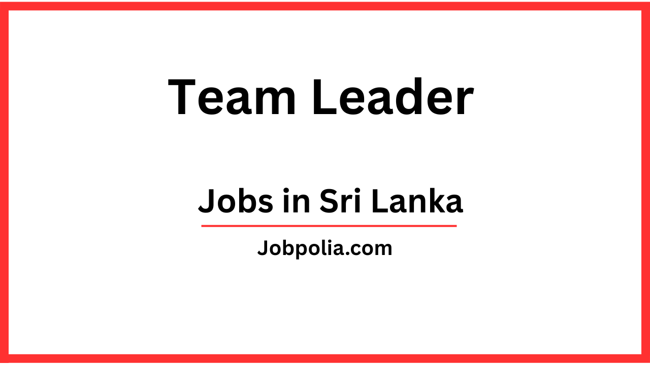 Team Leader