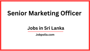 Senior Marketing Officer