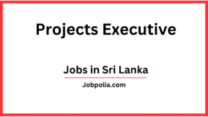 Projects Executive