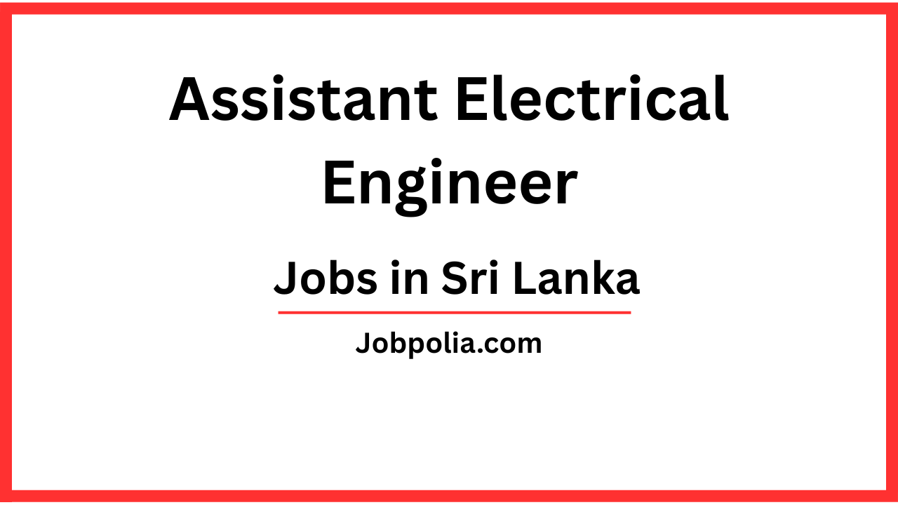 Assistant Electrical Engineer