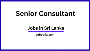 Senior Consultant