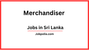Merchandiser