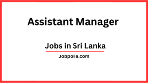 Assistant Manager
