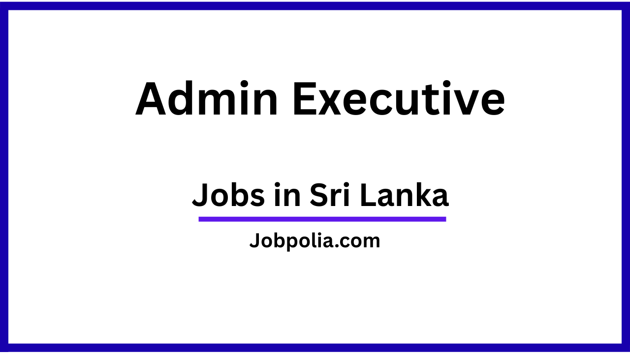 Admin Executive